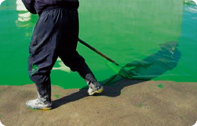 PS탄 도포(연질)